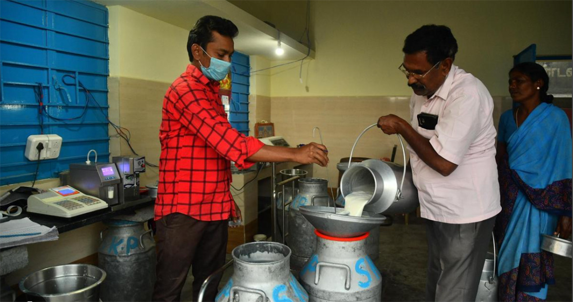 பால் உற்பத்தியாளர்களுக்கு குட் நியூஸ்: கொள்முதல் விலை லிட்டருக்கு ரூ.3 உயர்வு - முதல்வர் விஜய் அறிவிப்பு!